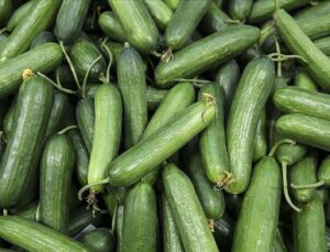 Salmonella Outbreak Linked to Florida Cucumbers: About 50 People Affected Across 18 States