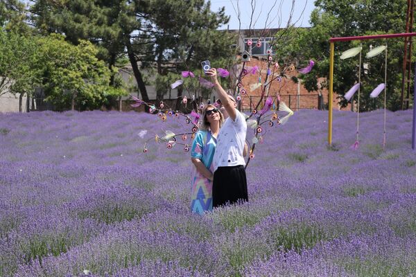 discover-the-most-colorful-route-of-the-holiday-lavender-fields-in-tekirdag-1-d3Jgwt6M Discover the Most Colorful Route of the Holiday: Lavender Fields in Tekirdağ