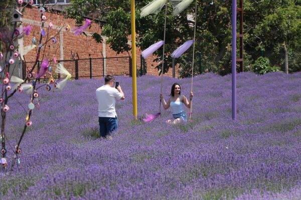 discover-the-most-colorful-route-of-the-holiday-lavender-fields-in-tekirdag-2-TOChZllL Discover the Most Colorful Route of the Holiday: Lavender Fields in Tekirdağ