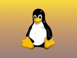 Global Shift: Countries Moving Away from Windows and Office to Embrace Linux