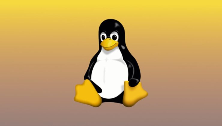 Global Shift: Countries Moving Away from Windows and Office to Embrace Linux