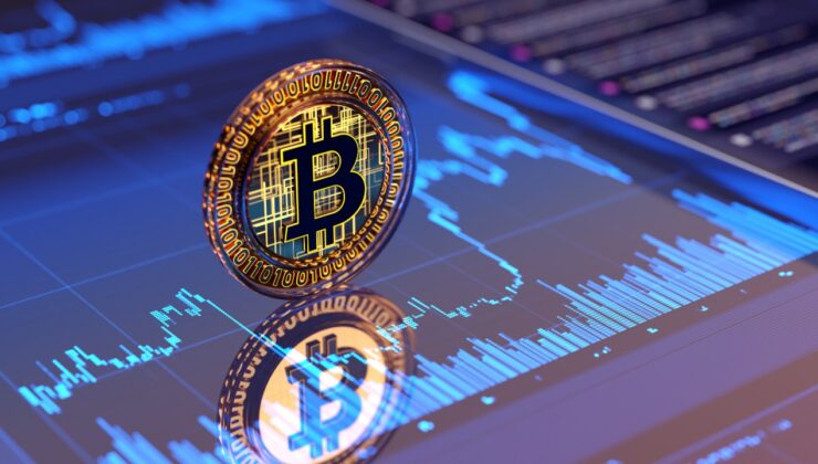 How the Wealthy Bitcoin Family Is Deploying Clever Strategies to Safeguard Their Assets from Thieves