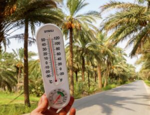 Scientists Announce: May 2025 Recorded as Second Hottest May in History