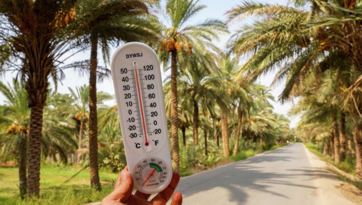 Scientists Announce: May 2025 Recorded as Second Hottest May in History