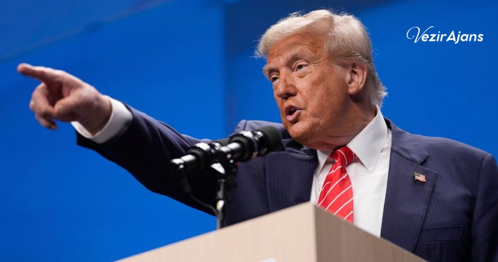 Key Policy Debates Shape Voter Priorities