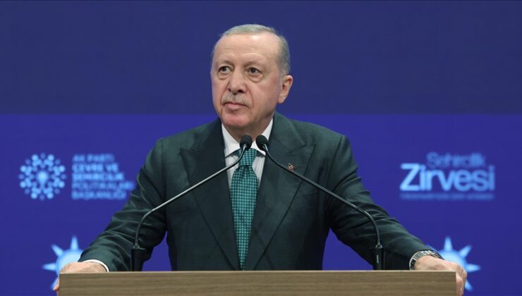 Cumhurbaşkanı Erdoğan: Yüreklerimizdeki yangını tarif etmek mümkün değil
